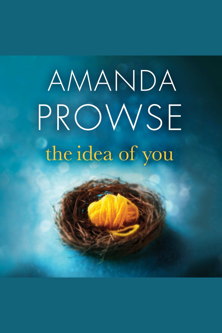 book review the idea of you