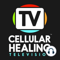 261: Conversations in Cellular Healing and Detox