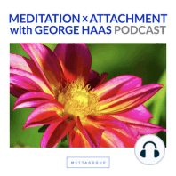 Purifying Conduct with Meditation