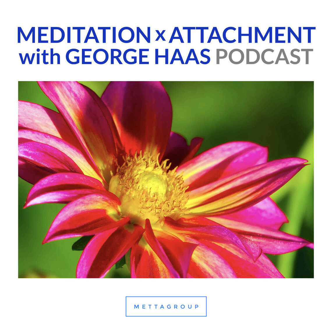 Purification of Mind Part 1 | Meditation x Attachment with George Haas ...