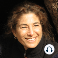 Without Anxiety About Imperfection - featuring special guest, Haemin Sunim, with Tara Brach