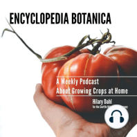 Episode 42: Growing Tomatoes