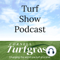 Introducing Turf Talk