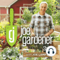 105-Gardening Questions Answered: Expert Advice from Joe Lamp’l