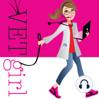 How to be a more efficient veterinarian | VETgirl Veterinary Continuing Education Podcasts