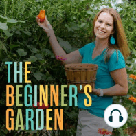 82- Prevent Poisoning Your Soil - Interview with Jill Winger of the Prairie Homestead