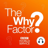 CM 086: Keith Payne on the Surprising Effects of Feeling Unequal ...