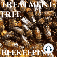 Treatment-Free Beekeeping Podcast - Episode 44 - Heidi Outside London