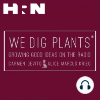 Episode 47: Holiday Plants