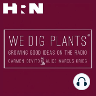 Episode 36: Plant Delights