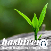 Episode 2: Teshuvah and Forgiveness