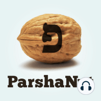 A ROCK AND A HARD PLACE - Parshat Ha'azinu (Season 2. Ep. 45)