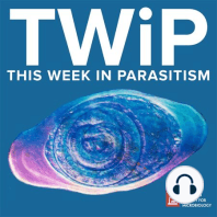 TWiP 165: The sound of crackles