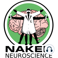 Remembering to live to a ripe old age, Naked Neuroscience, from the Naked  Scientists Podcast