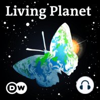 Living Planet: Smart thinking