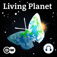 Living Planet: A rare breed