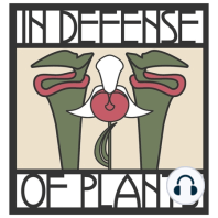 Ep. 210 - Pitcher Plants: A World Unto Themselves