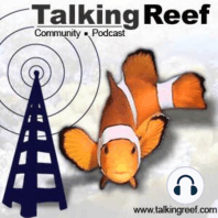 Talkingreef - Intro to Saltwater tanks - Ep1