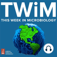 TWiM #130: Interkingdom interactions at ASM Microbe