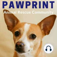 106: Amy Sutherland's Virtual Book Tour, Rescuing Penny Jane at Book Passage with Muttville