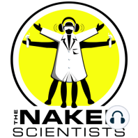 Naked Scientists Question and Answer Show