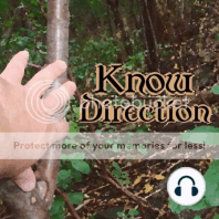 Know Direction 198 – Cartoons Make Your Game Better [Audio]