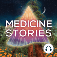 13. Psychedelic Healing: From Microdosing to Transcendence - James Fadiman
