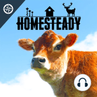SHORT: Farming chickens, pigs, and hunting... How homesteaders can stop buying meat from the supermarket