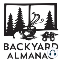 Backyard Almanac: Larry returns to redpolls (finally) and half the snowpack