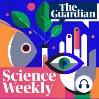 Toxic legacy: what to do with Britain's nuclear waste – Science Weekly podcast