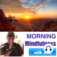 354 - Changing Speed: The Mindfulness Lesson We Can Get At The Airport