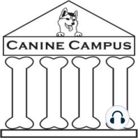 Canine Campus #21: Oops! Using Consequnces to Deal with Unwanted Behaviors