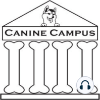 Canine Campus #3: Adult/Adolescent Obedience, Part Three of Three
