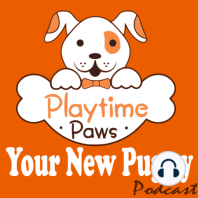 YNP #024: How to Raise Two Puppies at the Same Time