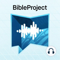 Happy New Year and What's Ahead for The Bible Project