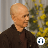 The Art of Suffering Retreat – Question and Answer Session