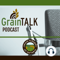 GrainTALK Episode 29: Brianne Curtis, Markus Haerle