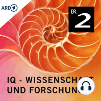 Masern - Wie die Infektion das Gedächtnis des Immunsystems löscht