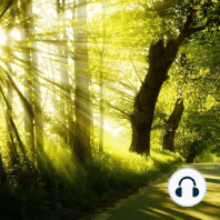 Absolutely Stunning Nature! Relaxing Celtic Music for Stress Relief. Calming Music. Music Therapy