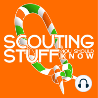 Why Stay in Scouting?