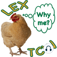LEX - TCW Episode 56: The two ellipticals and stuff by the side of the road.