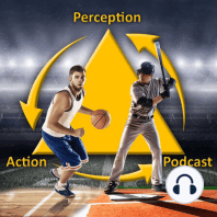 19C – Are We Color Blind When Performing an Action? Can Collision Detection Be Trained?