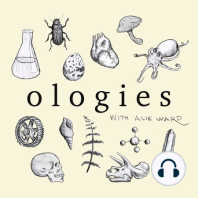 Primatology (MONKEYS & APES) with Kate Gilmore