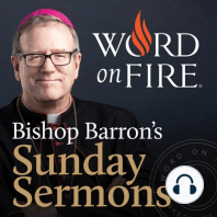 Back to the Fundamentals — Bishop Barron’s Sunday Sermon
