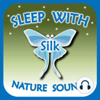 Bonus – Sleep trivia about other animals (Nature Sounds #17)