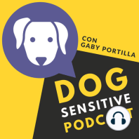 E01. La importancia de la calma en la vida de los perros