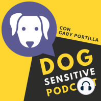Episodio 50. ¿Controlas emocionalmente a tu perro? Si, no y las consecuencias.