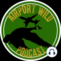 Episode 26 A Safer Way to Fly? Detect-Inc has it covered
