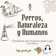 Capítulo 39. El perro y la correa