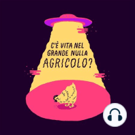 Agroscopo Duemilaventuro (Bonus Track)
